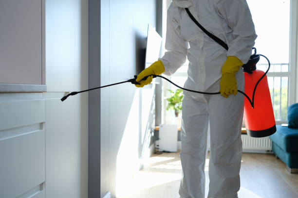 Forensic Mold Investigation in Rogue River, OR