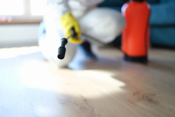 Best Comprehensive Air Testing for Mold Contaminants  in Rogue River, OR