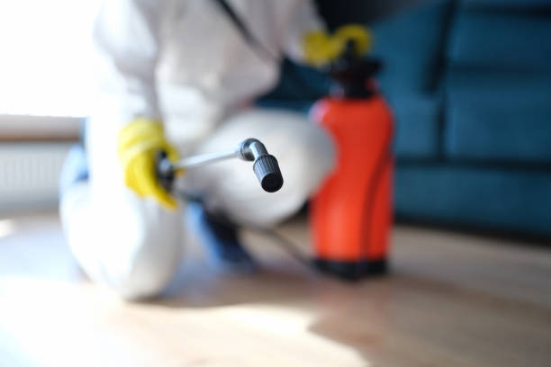 Best Post-Remediation Verification Testing  in Rogue River, OR