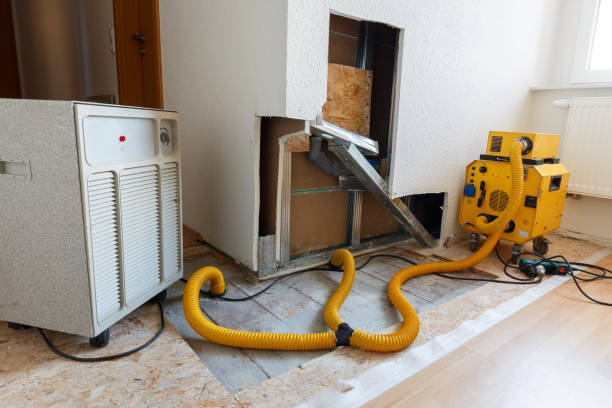 Best Mold Odor Removal Services  in Rogue River, OR